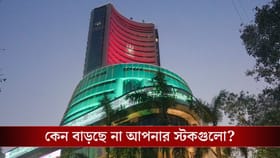 বেড়েছে সেনসেক্স, তারপরও বাড়ছে না আপনার স্টকগুলো! ঠিক কোথায় সমস্যা?