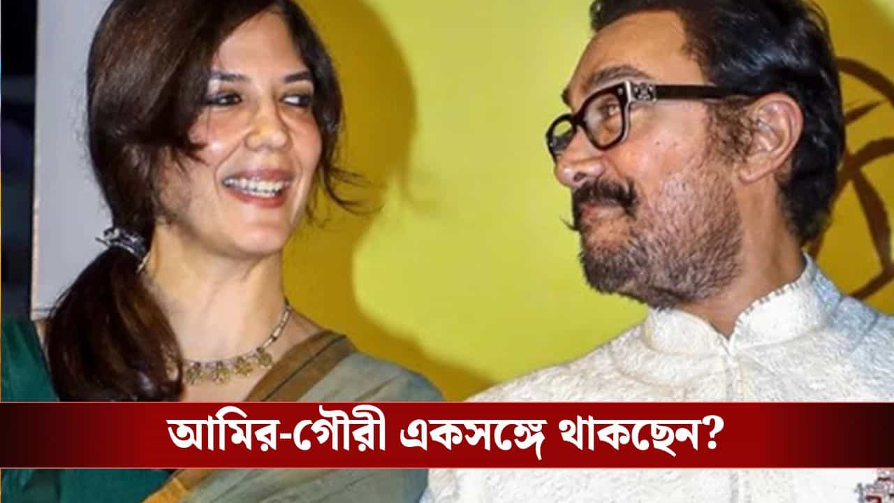 'মনে-মনে গৌরীকে বিয়ে করে ফেলেছি', তৃতীয় বিয়ে করছেন আমির?