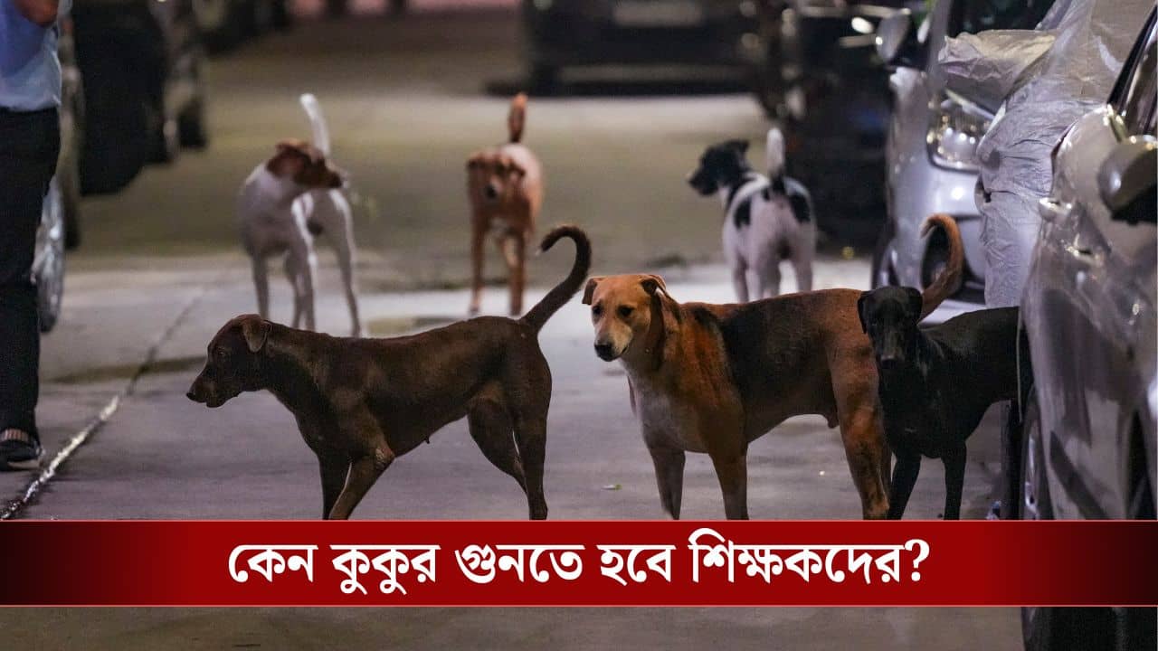 BLO-র ডিউটি করেও রেহাই নেই, এবার কুকুর গুনতে বলা হল শিক্ষকদের!