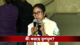 I-PAC এ ইডি হানা, বিকেল ৪টেয় বিরাট স্ট্র্যাটেজি নিল তৃণমূল