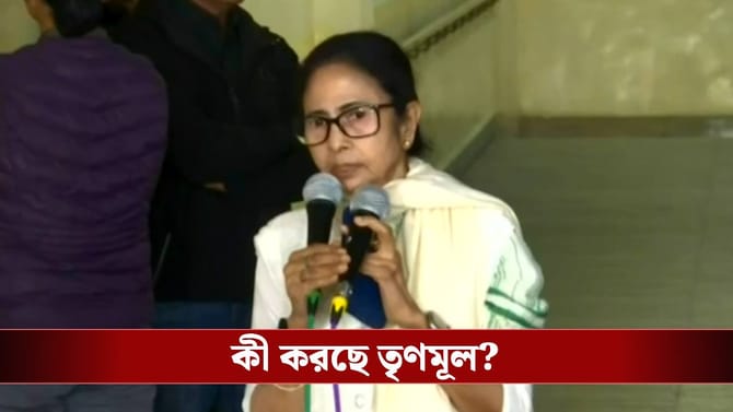 I-PAC এ ইডি হানা, বিকেল ৪টেয় বিরাট স্ট্র্যাটেজি নিল তৃণমূল