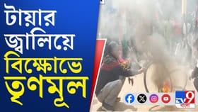 বিডিও অফিসের সামনে বিধায়কের নেতৃত্বেই 'রণংদেহী' তৃণমূল, দিল হুঁশিয়ারিও