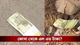 রাস্তায় গড়াগড়ি খাচ্ছে প্রচুর ২০ টাকার নোট, কী হচ্ছে তারকেশ্বরে?