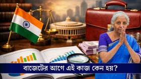 বাজেটের আগে হয় অর্থনৈতিক সমীক্ষা, কেন জানেন! কী কাজ এই সমীক্ষার?