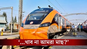 'মাছ খাব না আমরা?', বন্দে-ভারত স্লিপারে ভেজ থালি দেখেই আসরে তৃণমূল