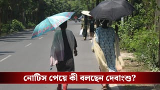 Weather Update: জানুয়ারির শেষেই শুরু গরমের খেলা?
