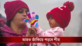 পারদ নেমে গেল ১.৬ ডিগ্রিতে, পৌষ পার্বণে 'প্রাণ' ফিরে পাচ্ছে শীত