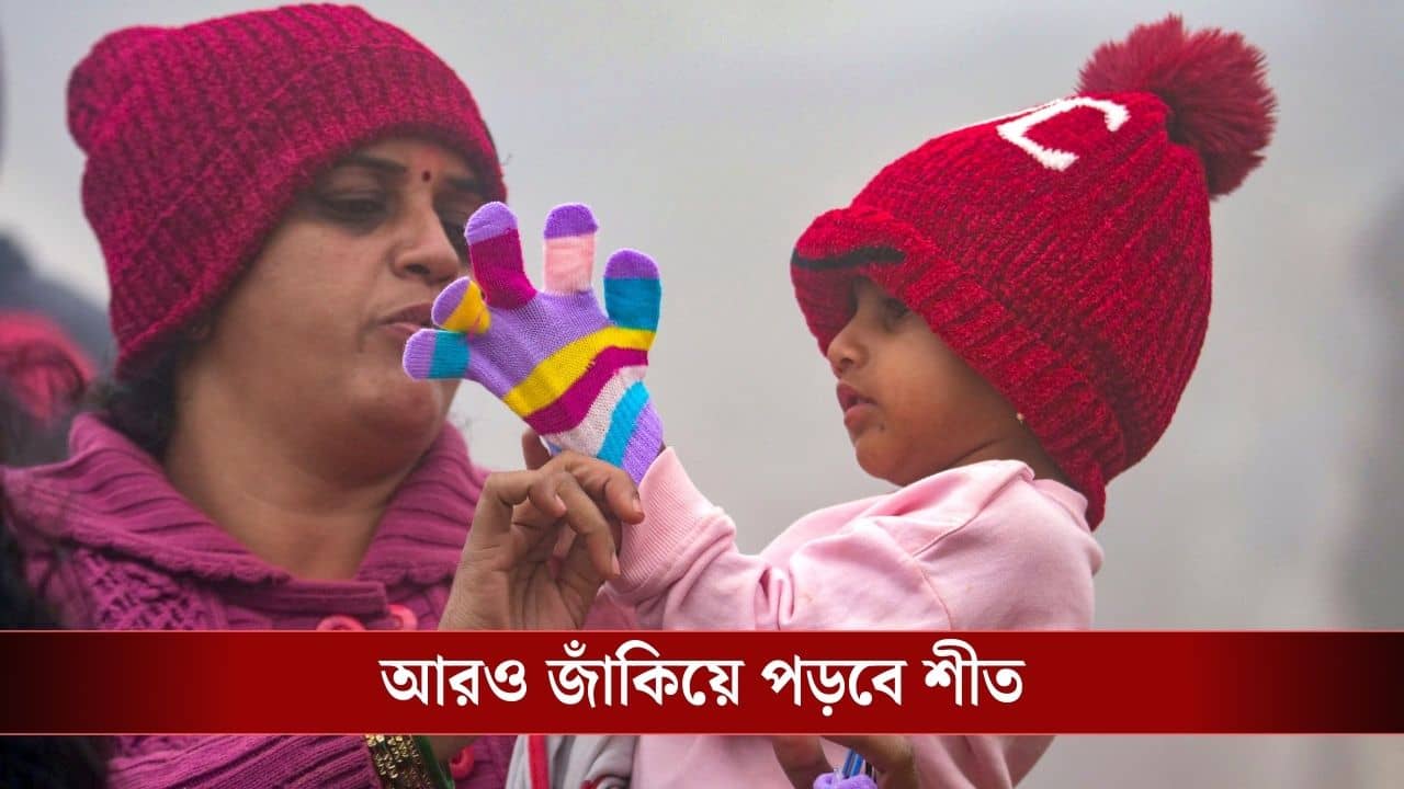 Winter Weather in West Bengal: পারদ নেমে গেল ১.৬ ডিগ্রিতে, পৌষ পার্বণে প্রাণ ফিরে পাচ্ছে শীত