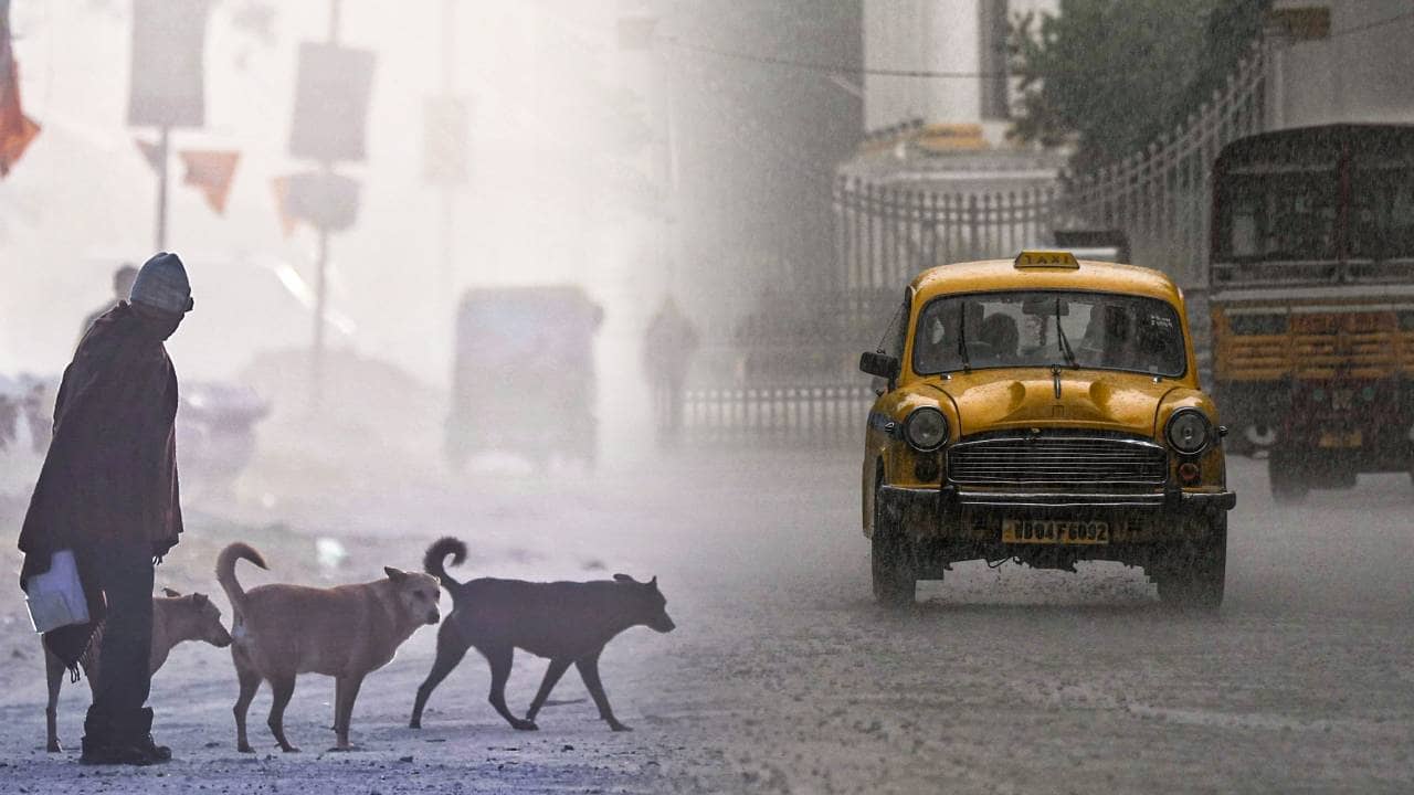 West Bengal Weather: পারদ নেমে ৯ ডিগ্রি, শীতের রেকর্ড ভাঙল কলকাতা! চোখ রাঙাচ্ছে বৃষ্টি