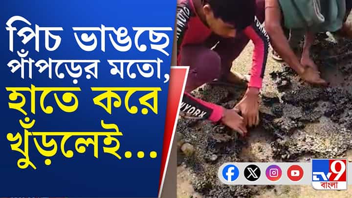 পিচ ভাঙছে পাঁপড়ের মতো! যা করলেন গ্রামবাসীরা... পিচ ভাঙছে পাঁপড়ের মতো! যা করলেন গ্রামবাসীরা...