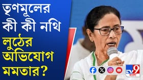 তৃণমূলের ভোট কৌশলের নথি লুঠের অভিযোগ তুলে মমতা যা বললেন...