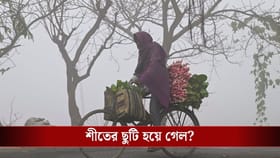 পাকিস্তানে নিম্নচাপ, তার প্রভাবেই সরস্বতী পুজোয় বাংলায় হাওয়া বদল!