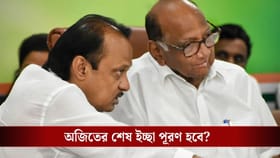 ১২ ফেব্রুয়ারি NCP-কে এক করতে চেয়েছিল অজিত, তার আগেই মৃত্যু: শরদ পওয়ার