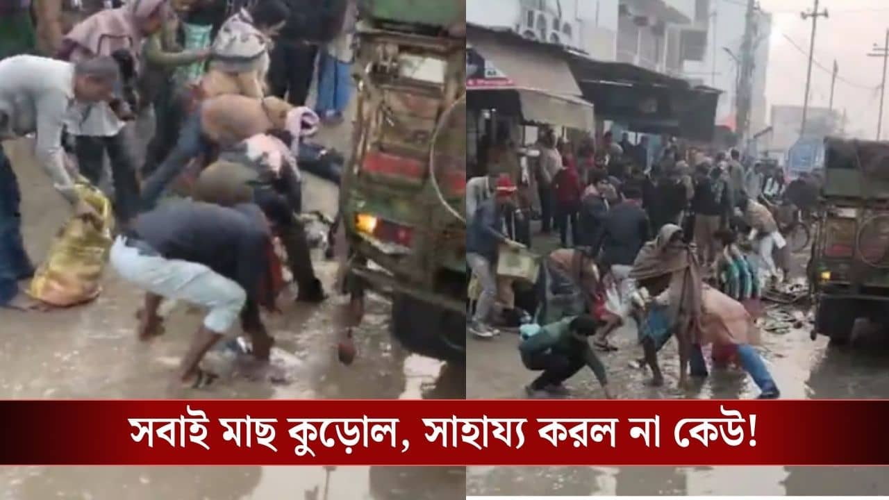 VIDEO: কেউ দেখেও দেখে না! বুক ধুকপুক করছিল, বছর ১৩-র কিশোরের রক্তে যখন ভিজল রাস্তা, তখন সবাই ব্যস্ত মাছ কুড়োতে!