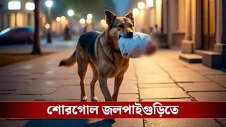 Jalpaiguri: কুকুরের মুখে শিশুর মাথা, কী হচ্ছে জলপাইগুড়ি মেডিক্যাল চত্বরে?