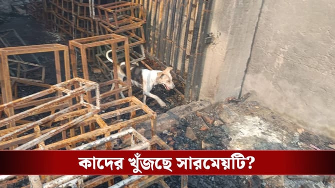 কাউকে বলতে পারছে না, 'স্বজনদের' খোঁজে অগ্নিদগ্ধ গুদামে দৌড়চ্ছে সারমেয়