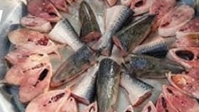 ফিস্ট, উদ্দাম নাচ! মমতা বন্দ্যোপাধ্যায়ের কথা অমান্য করছে নেতারা?