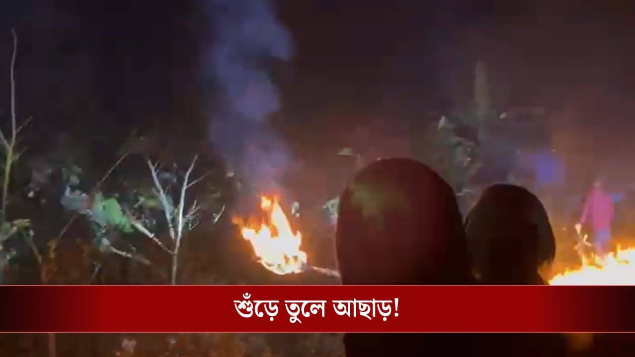 Jhargram: নিয়ন্ত্রণ করতে গিয়ে বিপদ! শুঁড়ে তুলে হুলাপার্টির সদস্যকেই আছাড় হাতির