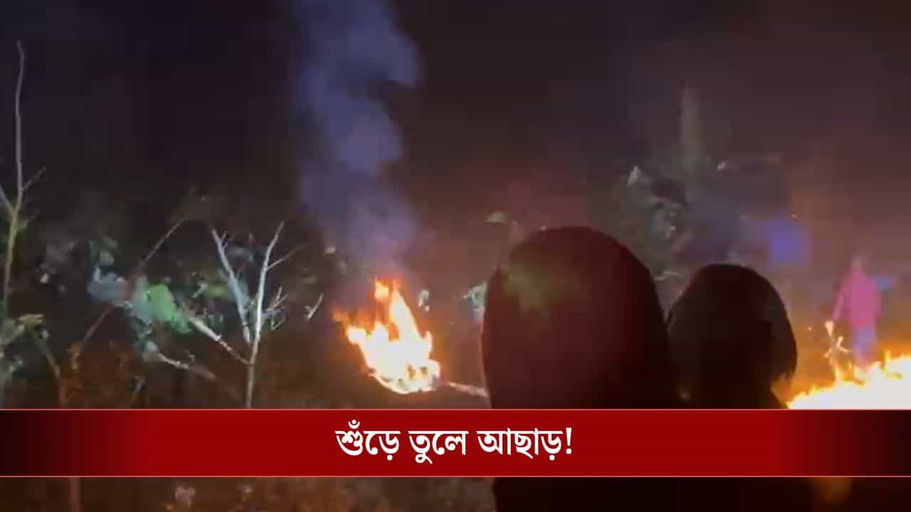Jhargram: নিয়ন্ত্রণ করতে গিয়ে বিপদ! শুঁড়ে তুলে হুলাপার্টির সদস্যকেই আছাড় হাতির Jhargram: নিয়ন্ত্রণ করতে গিয়ে বিপদ! শুঁড়ে তুলে হুলাপার্টির সদস্যকেই আছাড় হাতির