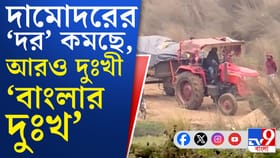 'বাংলার দুঃখ'-কে দুঃখী করছে বালি পাচারকারীরা, গানে গানে প্রতিবাদ