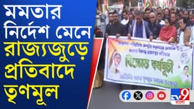 হাজরা থেকে সল্টলেক, ক্যানিং থেকে ভাঙড়, দিকে দিকে প্রতিবাদে তৃণমূল