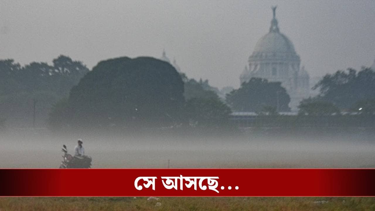 West Bengal Weather: ফিরছে উত্তুরে হাওয়া, আমেজ ফুরনোর আগে এল শীতের উপহার!
