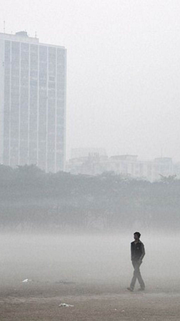 পশ্চিমী ঝঞ্ঝার চোটে শীত কি একেবারেই গায়েব? কী জানাল হাওয়া অফিস