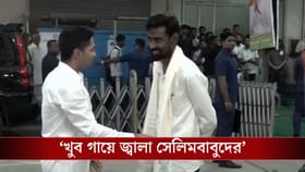 'দাদা আমি টিকিট চাই না, তবে...'TMC-তে এসে অভিষেকের থেকে কী চাইলেন?