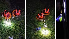 নথি চেয়ে ফোন, প্যাকেটে ভোটারের টুকরো টুকরো দেহ উদ্ধার, গ্রেফতার বিএলও