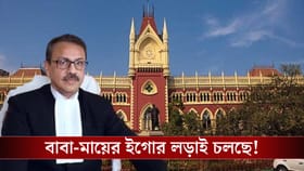 উচ্চ-শিক্ষিতা মা নন, মাছ ব্যবসায়ী বাবার কাছেই গেল সন্তানের কাস্টডি