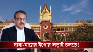 Calcutta High Court: নজিরবিহীন রায় হাইকোর্টের! উচ্চ-শিক্ষিতা মা নন, মাছ ব্যবসায়ী বাবার কাছেই গেল সন্তানের কাস্টডি