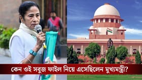 সবুজ ফাইলে কী ছিল? সুপ্রিম কোর্টে হলফনামায় জানালেন মমতা