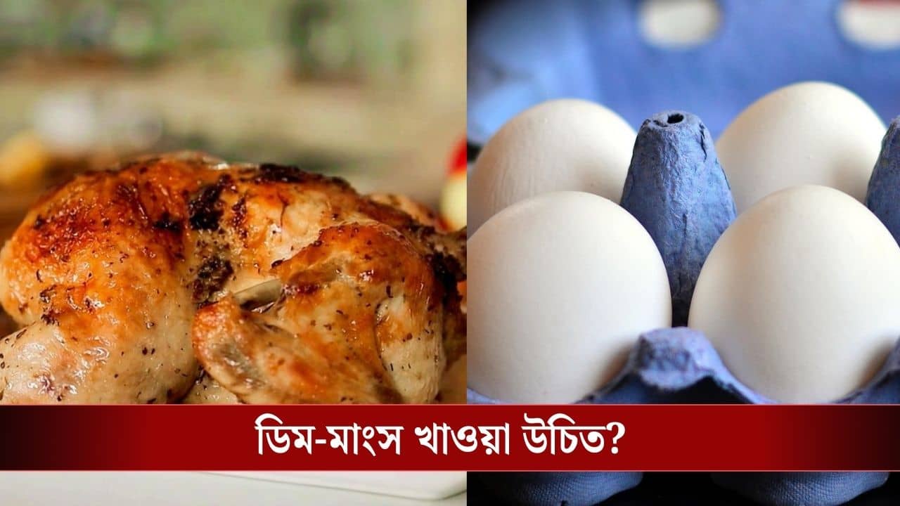 Bird Flu: ছড়াচ্ছে বার্ড ফ্লু, এই সময়ে মাংস বা ডিম খাওয়া কি সুরক্ষিত?
