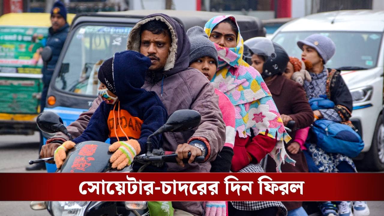 Weather Update: ১০ ডিগ্রিতে নামল তাপমাত্রা, ঘুরে দাঁড়িয়ে আলাদাই খেলা শুরু শীতের