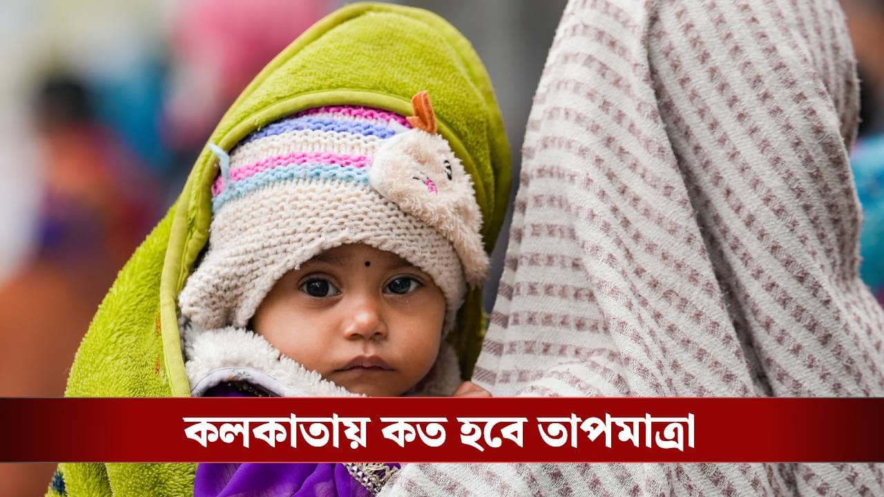 Weather Update: কয়েকদিনের মধ্যে পারদ ছোঁবে ৩১ ডিগ্রি, আবহাওয়ার বড় আপডেট