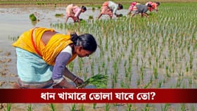লক্ষ লক্ষ একর বোরো চাষের সর্বনাশ হতে পারে! মাথায় হাত কৃষকদের