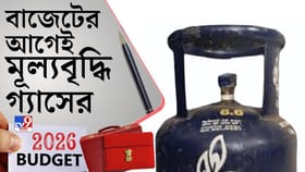 দাম বাড়ল বাণিজ্যিক গ্যাসের, দাম বাড়বে রেস্তোরাঁর খাবারের?