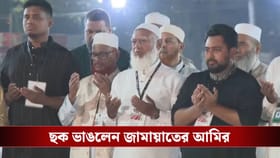 ভাষা দিবসকে 'ইসলাম-বিরোধী' বলা জামায়াতের আমির প্রথম গেলেন শহিদ মিনারে