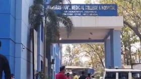 মৌমাছির অত্যাচারে স্তব্ধ হয়ে গেল সরকারি হাসপাতাল