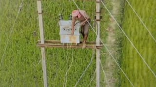 Katwa: উঠছিল বিদ্যুৎ চুরি করবে বলে, আকাশে ড্রোন উড়তে দেখেই পাইপাই করে নেমে পড়লেন, তারপর..