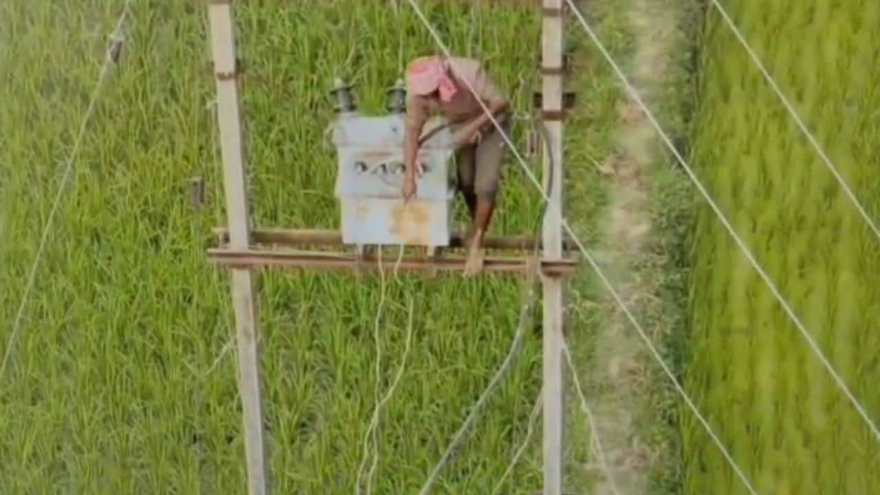 Katwa: উঠছিল বিদ্যুৎ চুরি করবে বলে, আকাশে ড্রোন উড়তে দেখেই পাইপাই করে নেমে পড়লেন, তারপর..