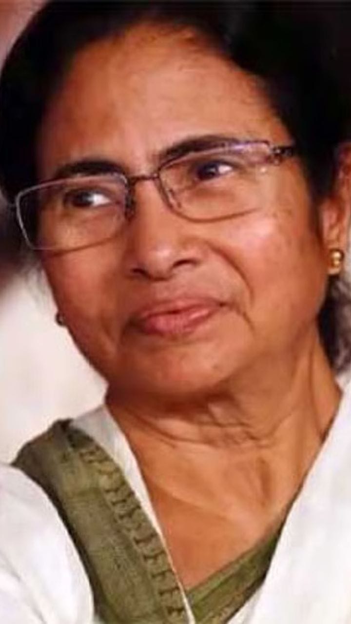 'বিজেপির বিরুদ্ধে একমাত্র তৃণমূলই লড়াইয়ে', কে বললেন একথা?