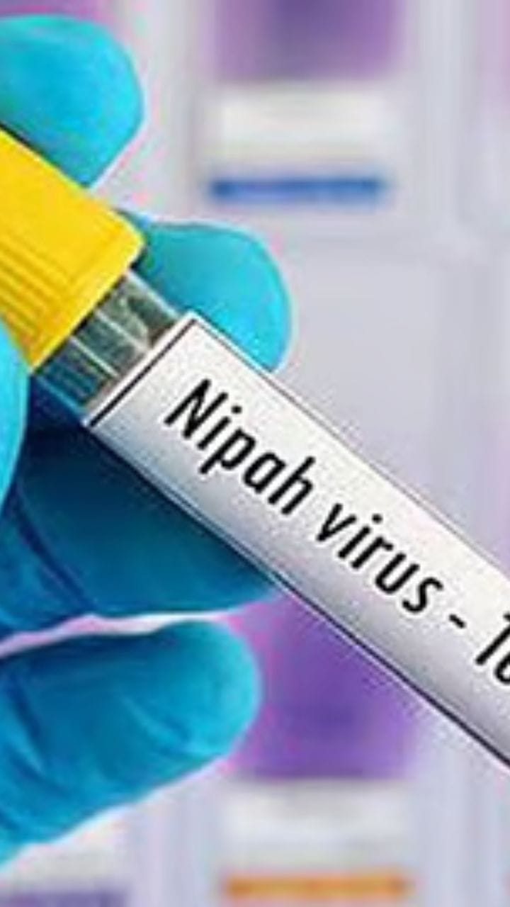 বারাসতে নিপা আক্রান্ত হয়ে নার্সের মৃত্যু