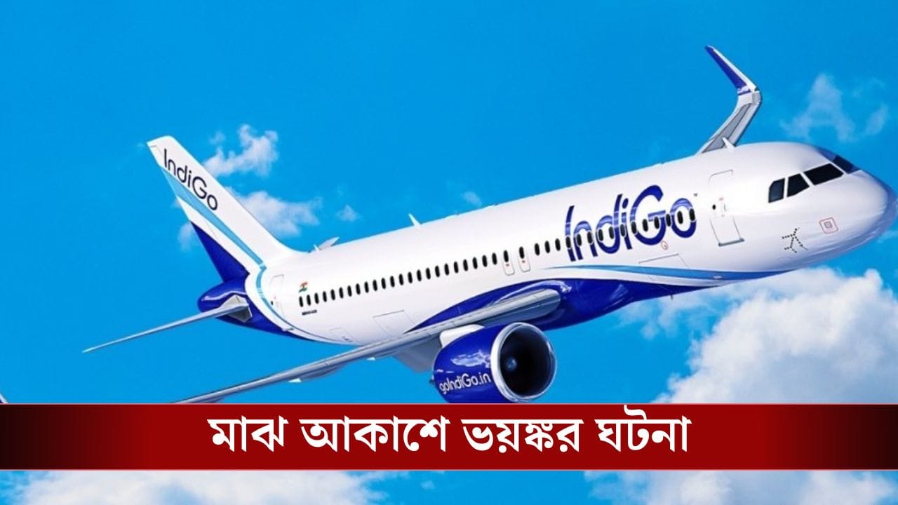 Kolkata airport: প্লেনের ভিতরেই পাশে বসা যুবতীর শরীরের বিভিন্ন জায়গা 'স্পর্শ', দেখতে পেয়েই বিমান সেবিকারা যা করলেন..., মাঝ আকাশেই ভয়ঙ্কর ঘটনা Kolkata airport: প্লেনের ভিতরেই পাশে বসা যুবতীর শরীরের বিভিন্ন জায়গা 'স্পর্শ', দেখতে পেয়েই বিমান সেবিকারা যা করলেন..., মাঝ আকাশেই ভয়ঙ্কর ঘটনা