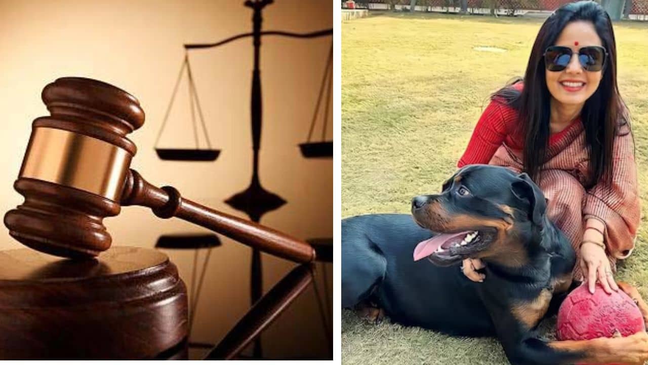 Mahua Moitra: প্রাক্তন প্রেমিকের কাছ থেকে রটউইলার হেনরিকে পেতে মরিয়া, ৪ আইনজীবী দিয়ে মামলা করলেন মহুয়া