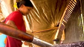 ফুটপাথই 'সংসার', লক্ষ্মীর ভান্ডারেই কি সন্তুষ্ট ওরা?