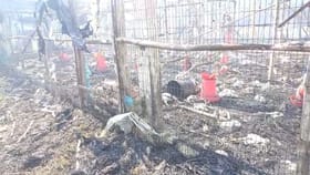 একসঙ্গে ১২,০০০ হাজার হাজার মুরগী পুড়ে ছাই, ভয়ঙ্কর ঘটনা বারাসতে