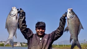 মৎস্য়জীবীদের জন্য বাজেটে বিশেষ ঘোষণা নির্মলার