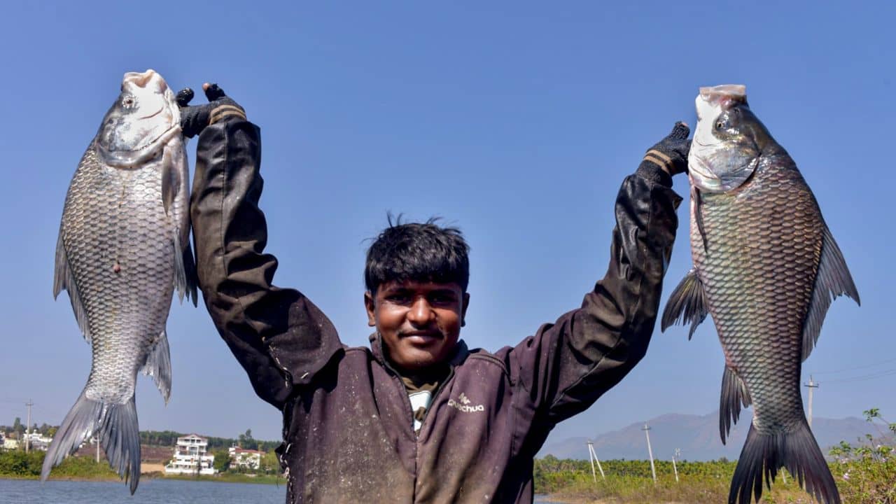Nirmala Sitharaman: মৎস্য়জীবীদের জন্য বাজেটে বিশেষ ঘোষণা নির্মলার