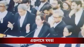 আইনজীবীদের মাঝে মমতা, এই মুহূর্তে কী সওয়াল চলছে সুপ্রিম কোর্টে?